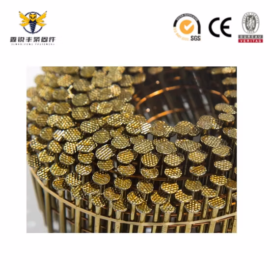 China Factory Supply Fasteners Flat/Net Head Electroplated Spiral Coil Nail